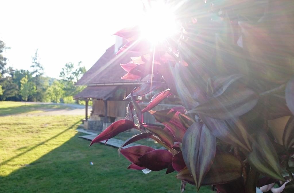 Rustic Home Mia دوغا غيسا الغرفة الصورة