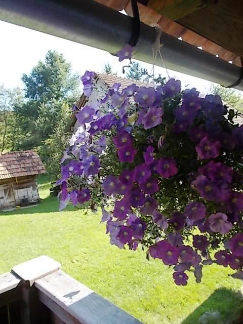 Rustic Home Mia دوغا غيسا الغرفة الصورة