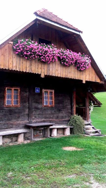 Rustic Home Mia دوغا غيسا المظهر الخارجي الصورة